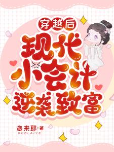 会计师穿越的小说